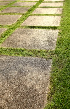 çim ve kayrak veranda, yemyeşil yeşil manzara 