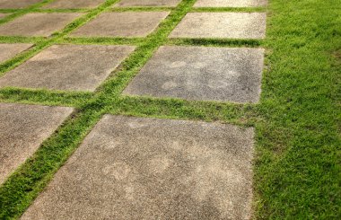 çim ve kayrak veranda, yemyeşil yeşil manzara 