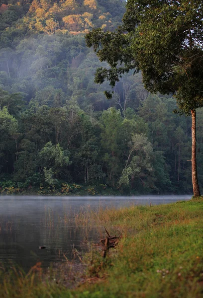 Beautiful forest lake in the morning.Pang Ung, Mae Hong Son, Tha — Stock Photo, Image