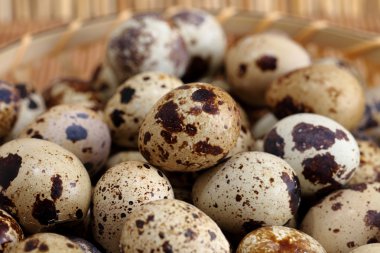 Beyaz arka planda bıldırcın yumurtaları