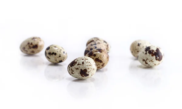 Quail eggs on white background — Stock Photo, Image