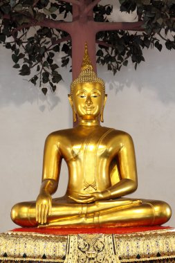 Altın buddha altında ağaç, bangkok, Tayland 