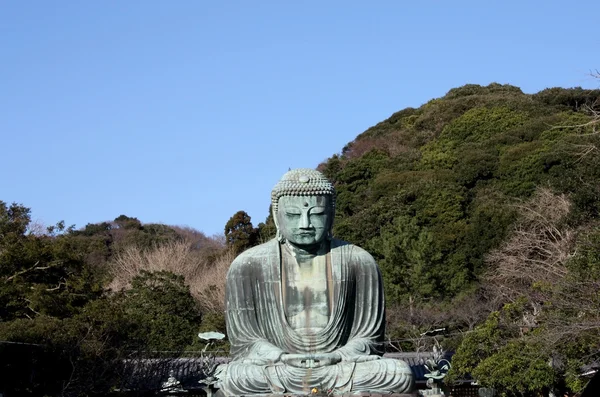 Great buddha in kamakura Japan — Stock Photo, Image