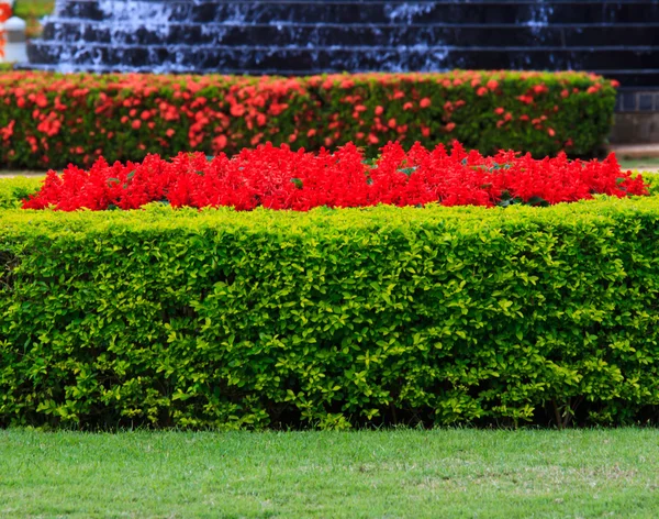 Imagen del jardín —  Fotos de Stock