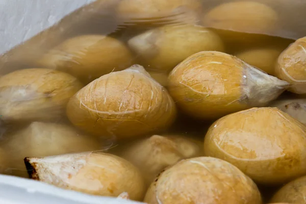 Close up of a coconuts on a background — Stock Photo, Image