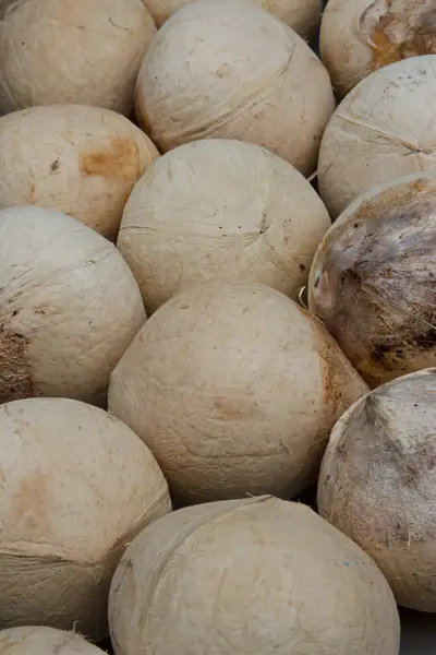 Close up of a coconuts on a background — Stock Photo, Image