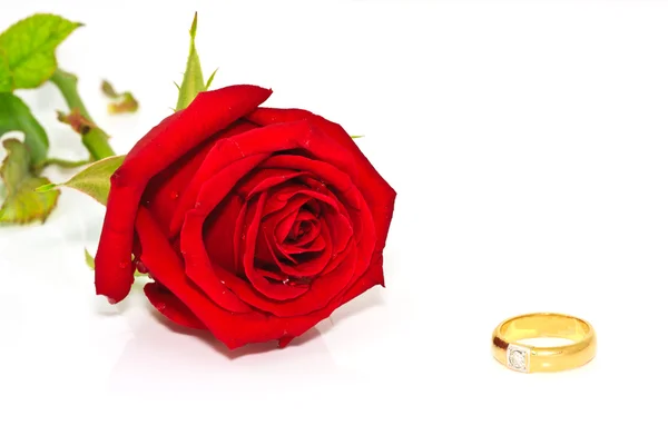 Ringe auf einem Hintergrund aus Rosen — Stockfoto