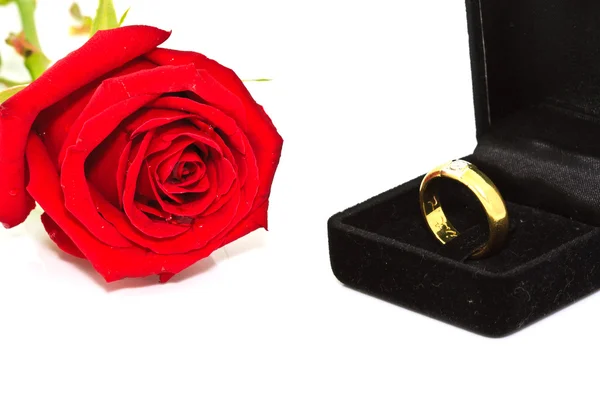 Ringe auf einem Hintergrund aus Rosen — Stockfoto