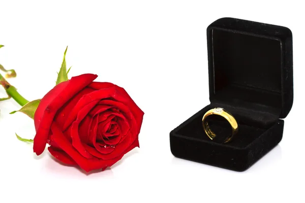 Ringe auf einem Hintergrund aus Rosen — Stockfoto