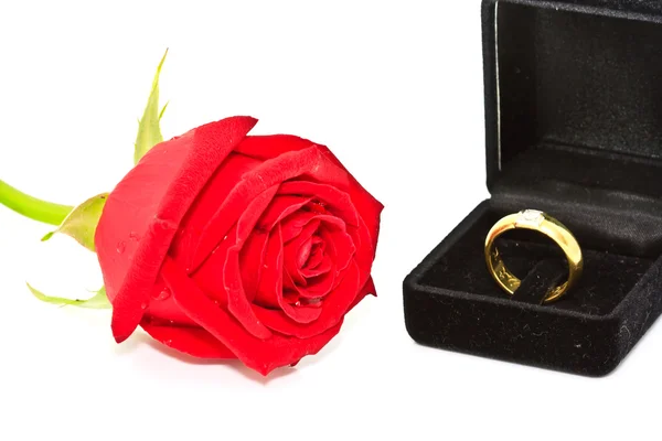 Ringe auf einem Hintergrund aus Rosen — Stockfoto