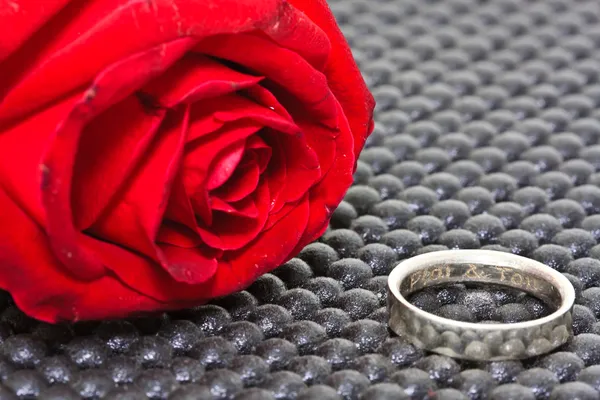 Anillos sobre un fondo de rosas — Foto de Stock