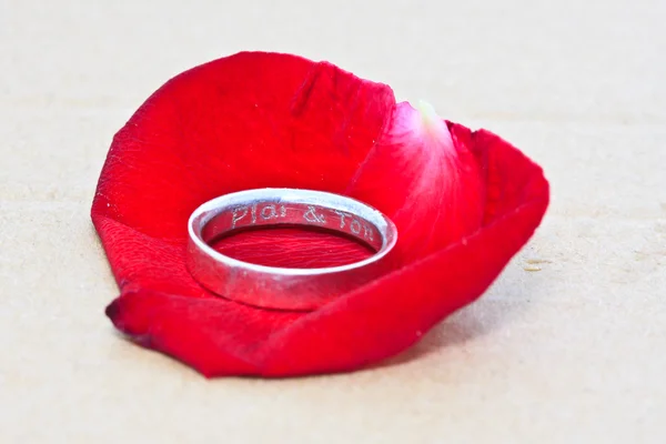 Anillos sobre un fondo de rosas —  Fotos de Stock