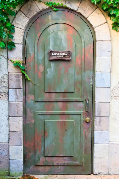 Old door — Stock Photo, Image