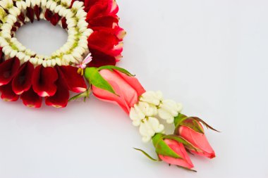 Yasemin Garland beyaz zemin üzerine yakın çekim