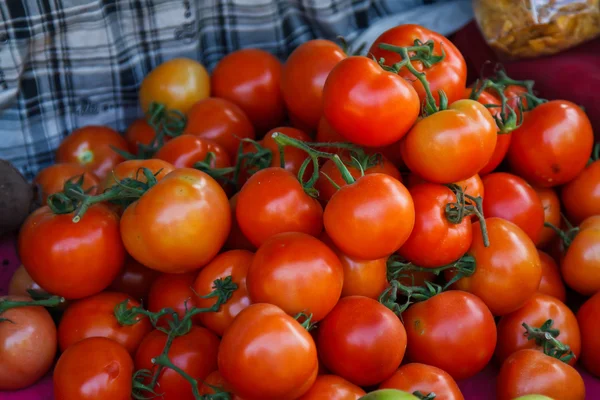 Rajčata zelenina v venkovní trh — Stock fotografie