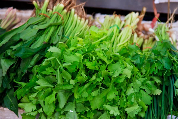 Grünes Gemüse und dunkles Blattwerk als gesunde Ernährung Stockfoto