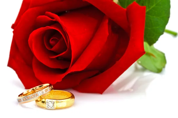 Hermosa rosa roja con anillo sobre fondo blanco —  Fotos de Stock