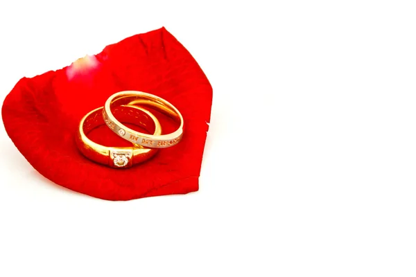 Bela rosa vermelha com anel em um fundo branco — Fotografia de Stock
