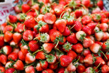 taze olgun mükemmel çilek pazarında