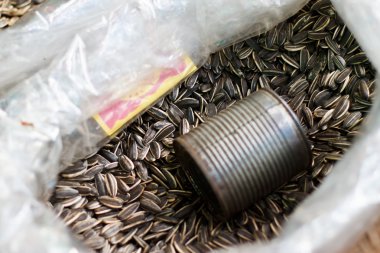 arkaplan kullanımı için organik ayçekirdeği