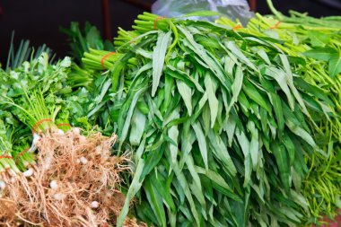 yeşil sebze ve sağlıklı bir yemek olarak koyu yapraklı gıda arka plan