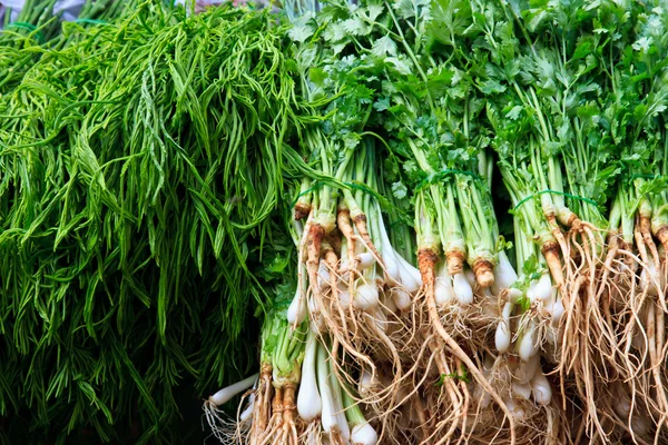 Grünes Gemüse und dunkles Blattwerk als gesunde Ernährung — Stockfoto