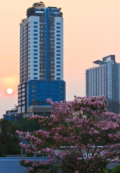 Buildings of bangkok,Thailand at sunset. — Stock Photo, Image