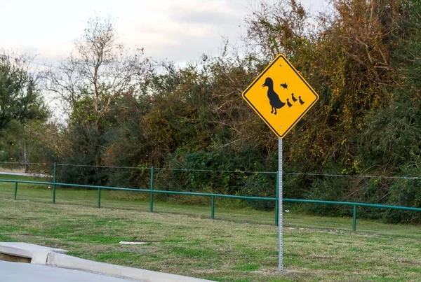 Duck Zone Warning Sign Shape Rhombus Back Yellow Duck Family — Stock Photo, Image