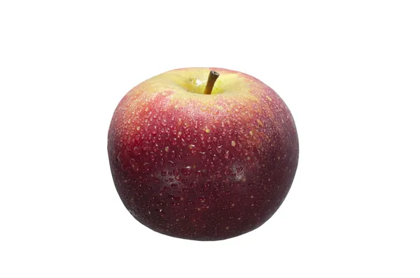 Äpple — Stockfoto