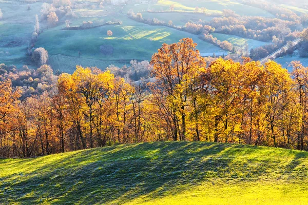Żółte liście jesienią zachód — Zdjęcie stockowe
