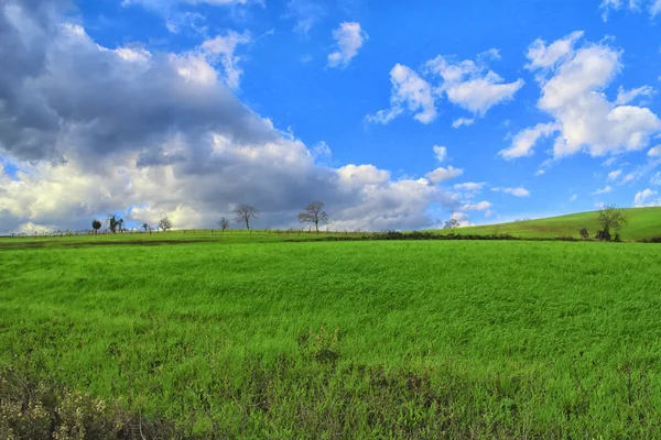 Green hills under blue sky — Stock Photo, Image