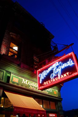 Osaka, Japonya - 17 Nisan 2017: Universal Stüdyoları Japonya 'daki New York AREA' da gece görüşü. Universal Stüdyoları Japonya 'da eğlenceli ve ünlü bir tema parkıdır..