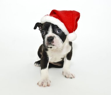 Boston korkunç bir Noel Baba şapkası