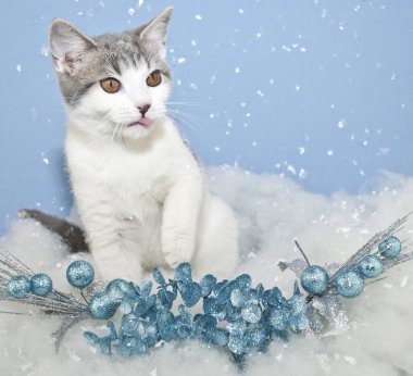 kar flakes yakalamaya