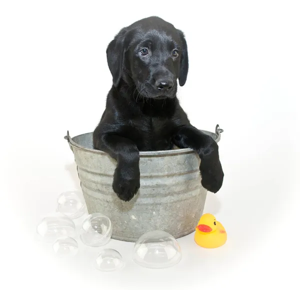 Bath Time — Stock Photo, Image