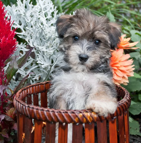 Outdoor Fun! — Stock Photo, Image