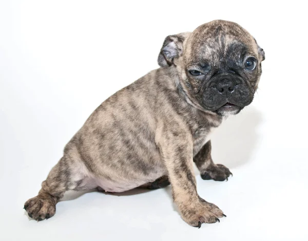 Dålig dag! — Stockfoto