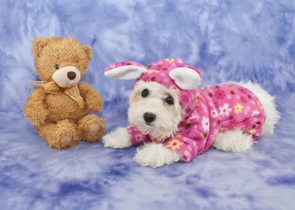 Ready For Bed — Stock Photo, Image