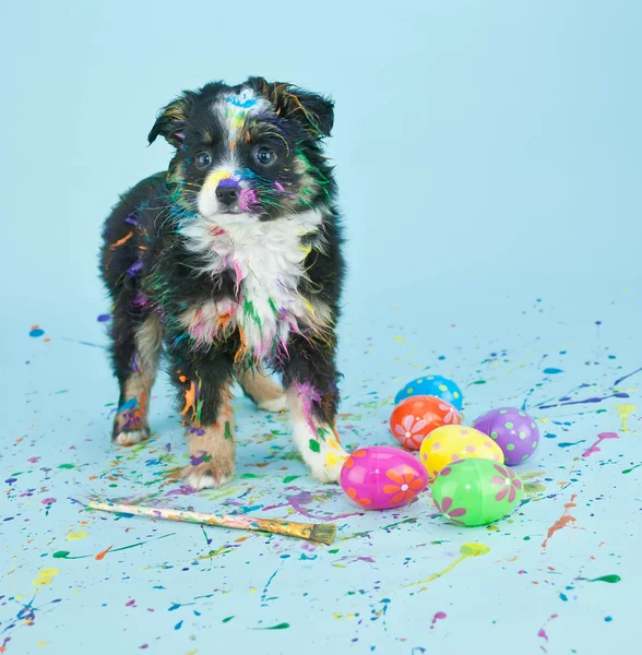 Coloring Easter Eggs — Stock Photo, Image