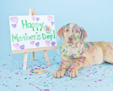 mutlu anneler günü köpek yavrusu