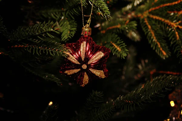Star Hanging Christmas Tree — Stock Fotó