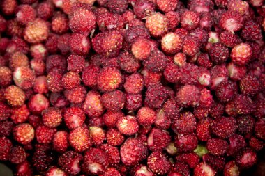 Olgun kırmızı çilek çok güzel duruyor.