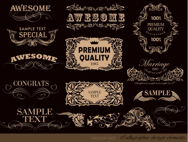 Calligraphic design elements — Stock Vector