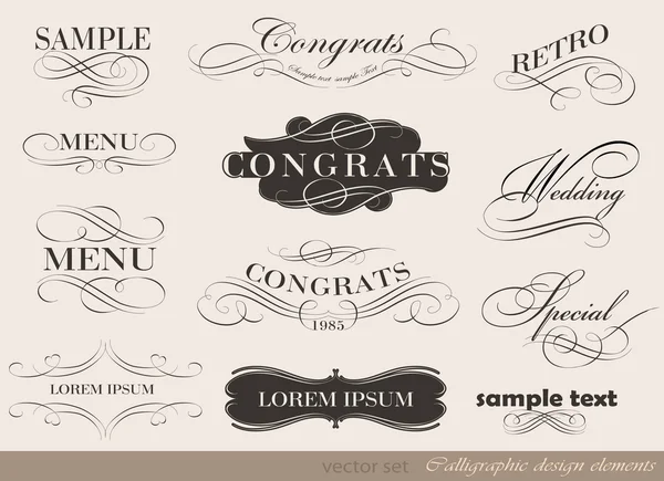 Calligraphic design elements — Stock Vector