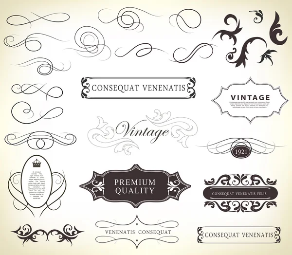 Calligraphic design elements — Stock Vector
