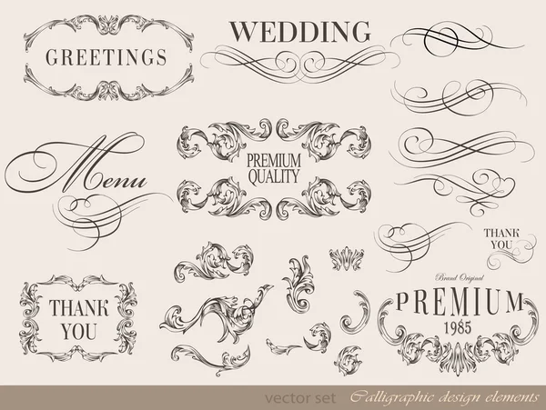 Calligraphic design elements — Stock Vector