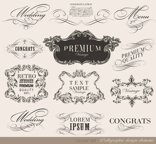 Calligraphic design elements — Stock Vector