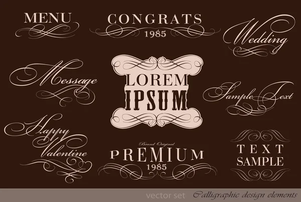 Calligraphic design elements, page decoration — Stock Vector