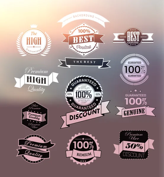 Set retro vintage ribbons and label — Stock Vector