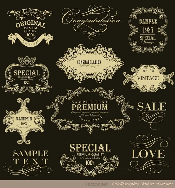 Calligraphic design elements — Stock Vector